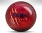 Preview: Motiv Primal Rage 5 Year LE