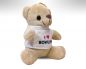 Preview: Teddy " I love Bowling "