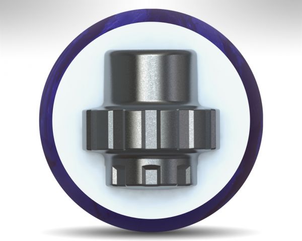 Motiv Venom Shock Gear Kern