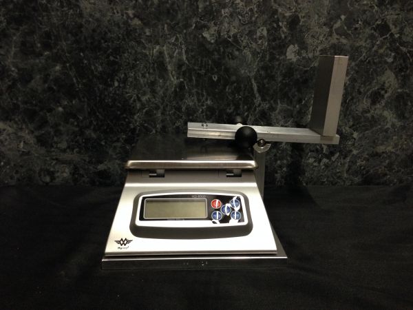 Holtzman Ball Balance Scale