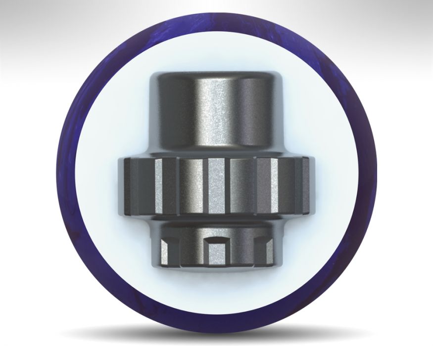 Motiv Venom Shock Gear Kern